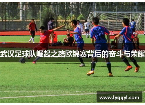 武汉足球队崛起之路欧锦赛背后的奋斗与荣耀