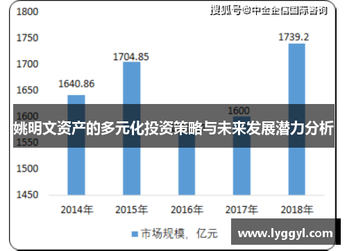 姚明文资产的多元化投资策略与未来发展潜力分析