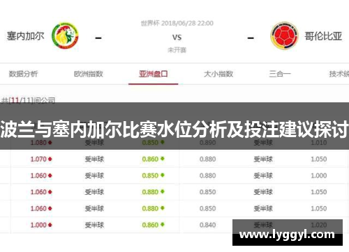 波兰与塞内加尔比赛水位分析及投注建议探讨